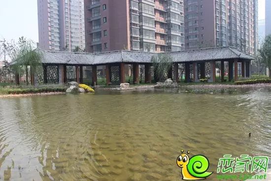 2013092911510747569.jpg