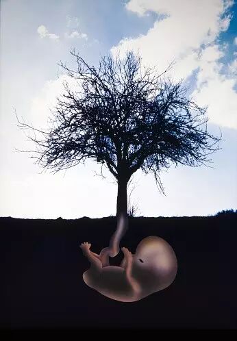 ����ɫ�顱�ڴݻ����л�����ĸ���!