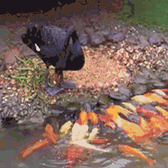 ��̰�ڿ죬����ɱծ����ӡ���ʦ����ݼ����