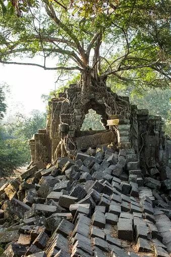 ����ɫ�顱�ڴݻ����л�����ĸ���!