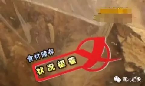 吐了！康师傅私房牛肉面馆被曝：配料里惊现活虫、虫卵、飞蛾