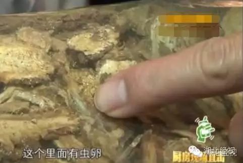 吐了！康师傅私房牛肉面馆被曝：配料里惊现活虫、虫卵、飞蛾