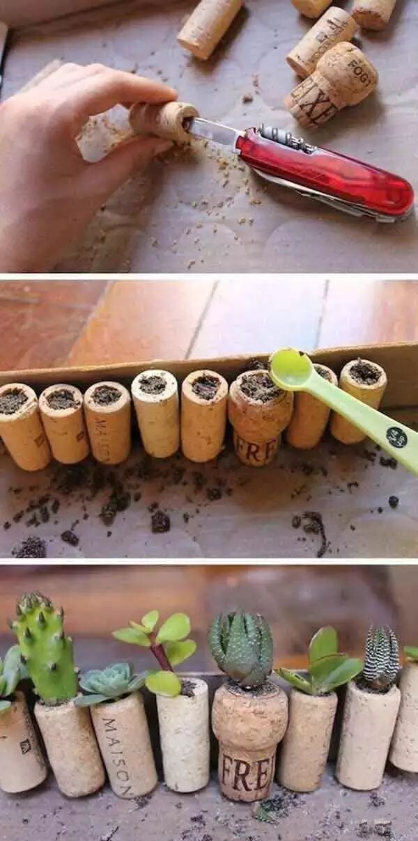 废弃物品不要扔，DIY自己的小花园