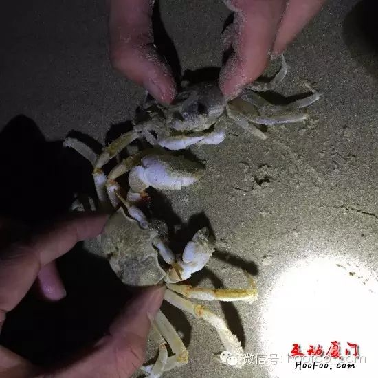 https://mmbiz.qlogo.cn/mmbiz/MZyHxsicuBcHWedyVu5ArEPw5pFQMXupAqUtEvl5TeJmUibweEt65IH2Acgf4Bu2D3oo6Cia6NdiaOhLT3oFTtj3kg/0?wx_fmt=jpeg