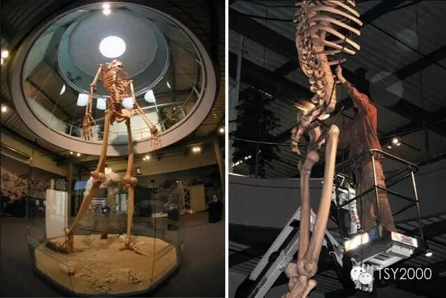 尼古拉·特斯拉：&nbsp;成就几乎是爱因斯坦与爱迪生总和的旷世奇才