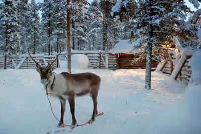 2015追赶极光之旅