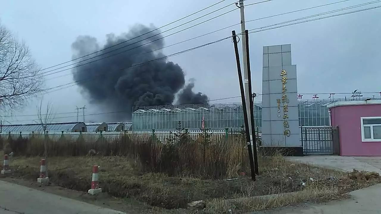 登录查看大图