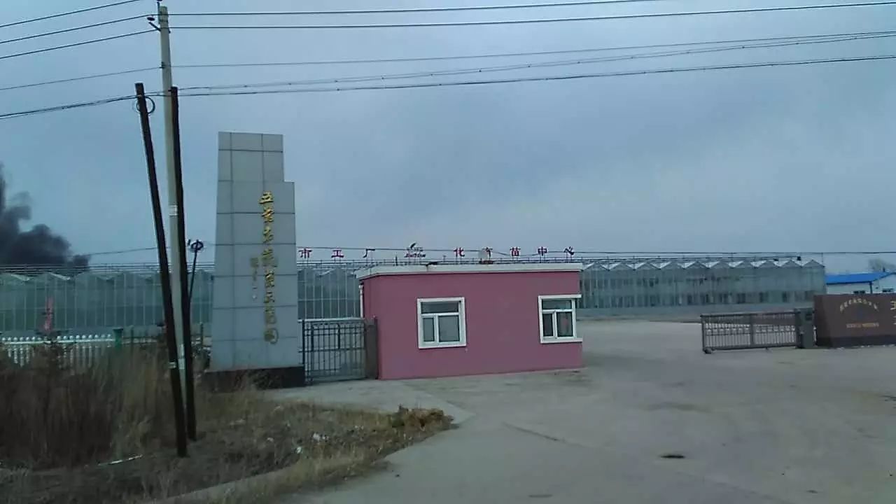 登录查看大图