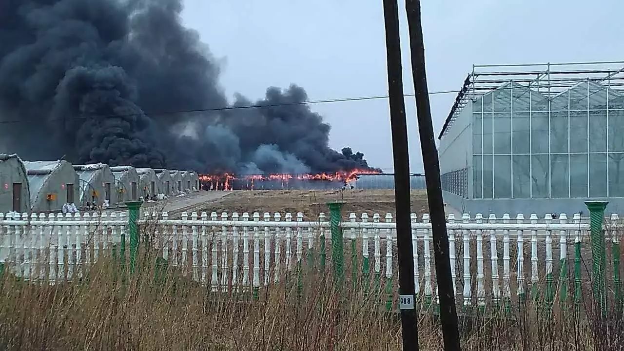 登录查看大图