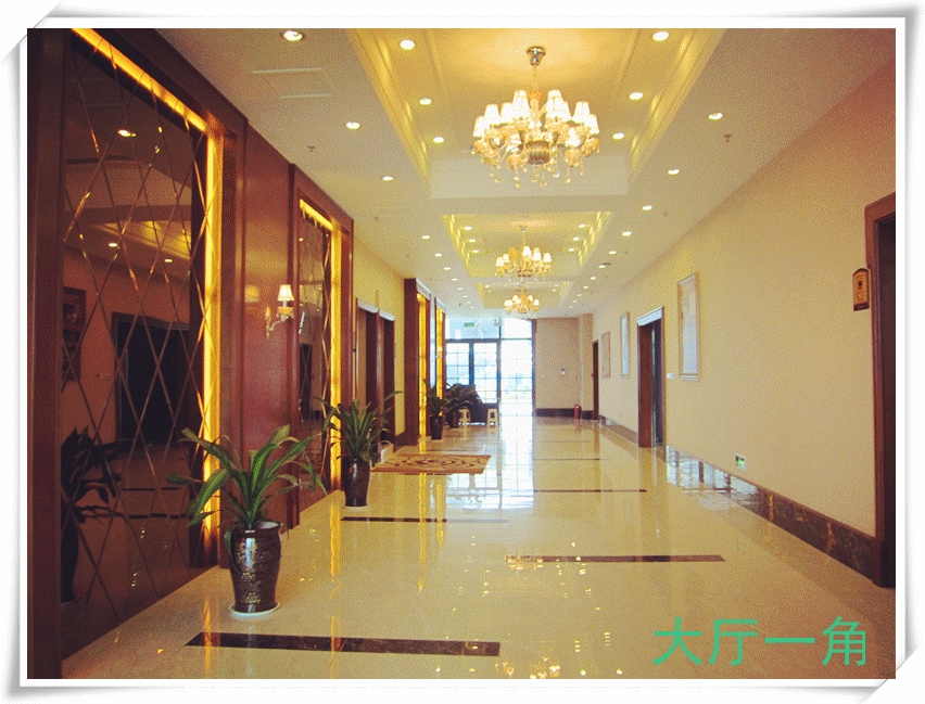 不知道？没约过？sorry你OUT了！