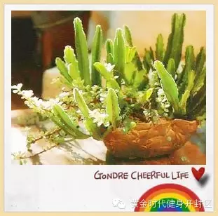 黄金时代郑开橄榄城健身会所《健康生活风尚季》全民公益活动