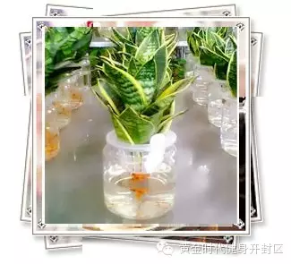 黄金时代郑开橄榄城健身会所《健康生活风尚季》全民公益活动