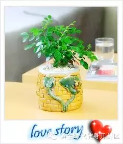 黄金时代郑开橄榄城健身会所《健康生活风尚季》全民公益活动