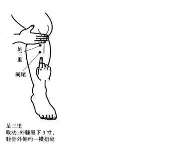 十二个穴道 <wbr>几乎可治全身病！