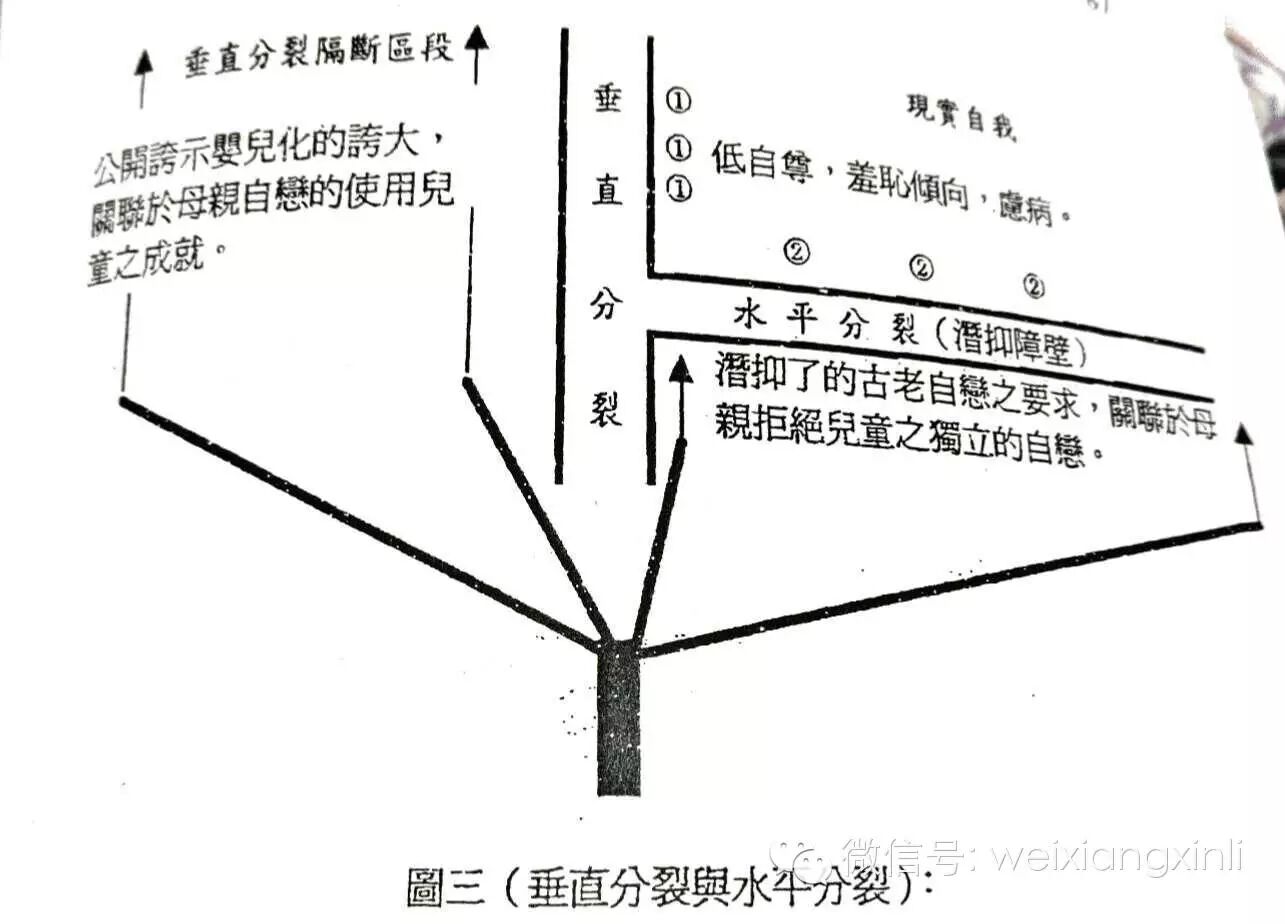 （自体理论）关于垂直分裂与水平分裂的辨析