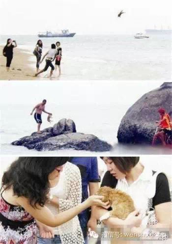 登录查看大图