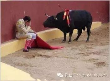 登录查看大图