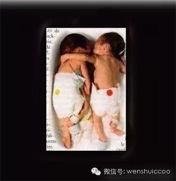登录查看大图