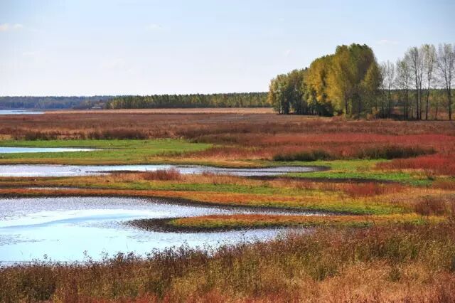 省市属于桦甸管辖吗_桦甸是市还是县_桦甸市属于哪个省