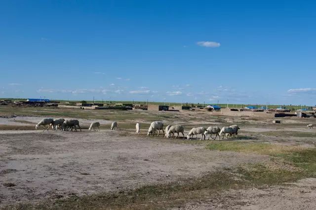 桦甸是市还是县_桦甸市属于哪个省_省市属于桦甸管辖吗