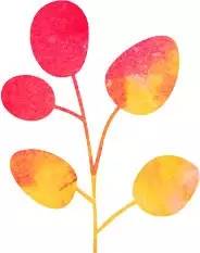 圖片關(guān)鍵詞