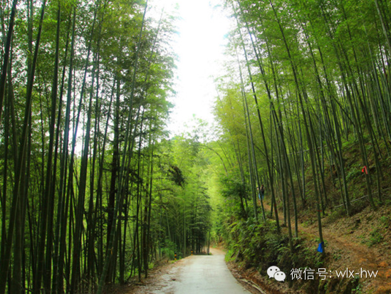 (4)从化星溪线休闲经典线路徒步-户外活动图-驼铃网