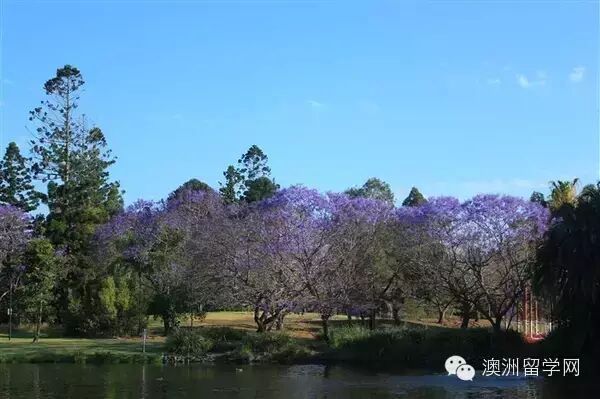 【澳洲留学体验】我在澳洲昆士兰大学就读