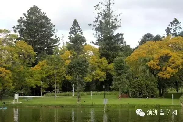 【澳洲留学体验】我在澳洲昆士兰大学就读