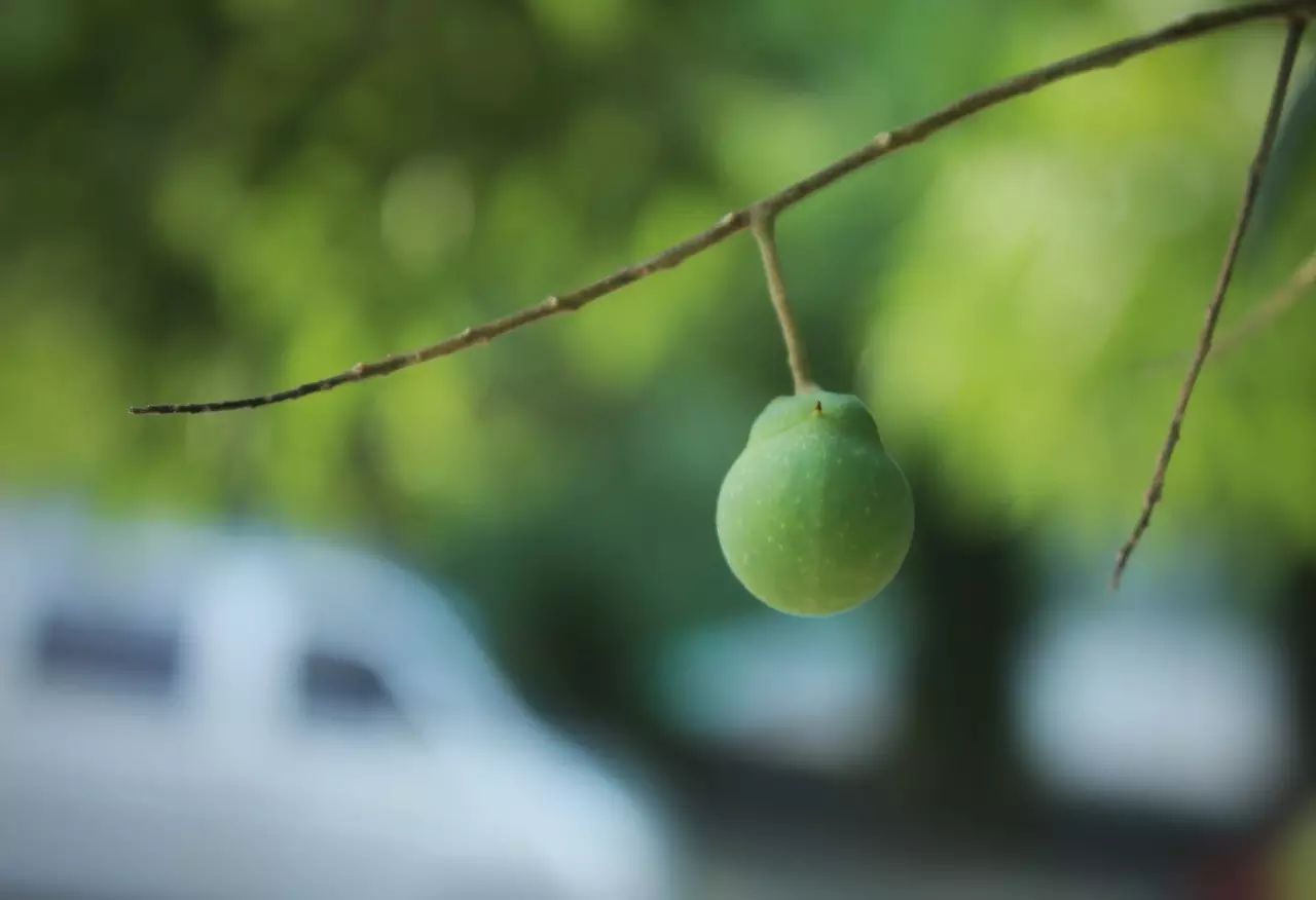 夏令营丨我们挥汗如雨，只为等你回家