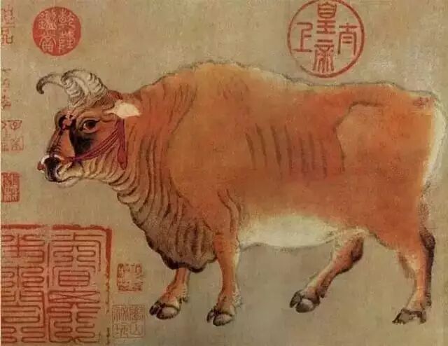 唐代韩滉的《五牛图》，深入刻画了牛劲和牛品