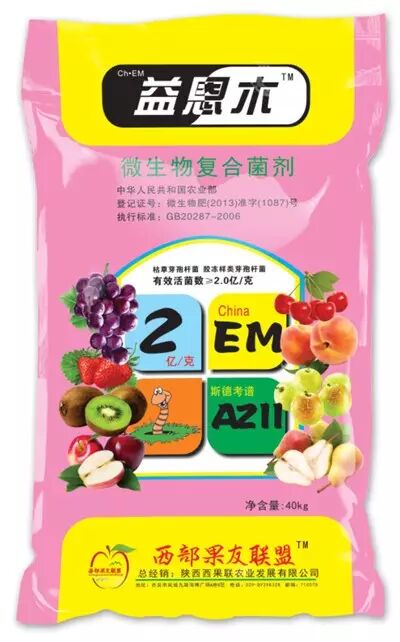 ΢����ʽ�����δ�������г�