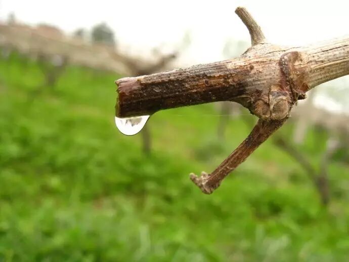 ���������ڵĹ���