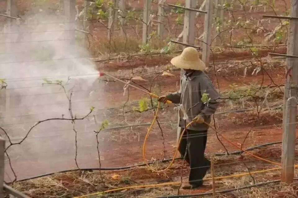 ����������ʩ��ˮ�ô���