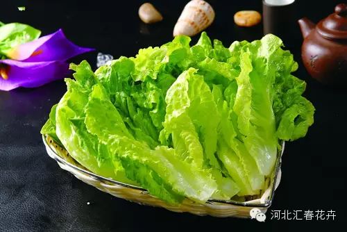 shengcai_3283893_副本.jpg