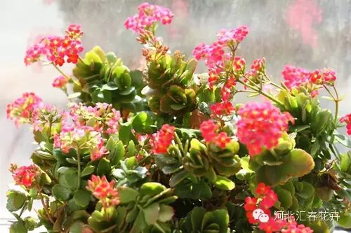 IMG_2827_副本.jpg