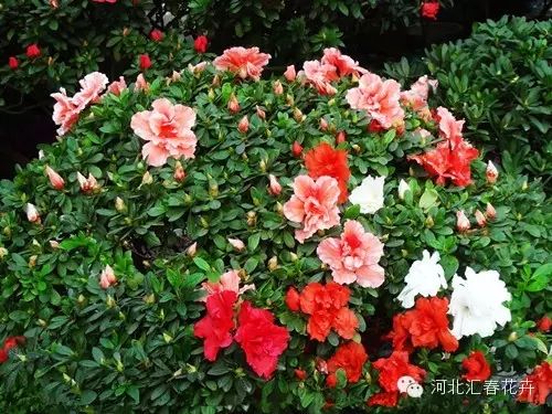 7960243_170333267185_2_副本.jpg