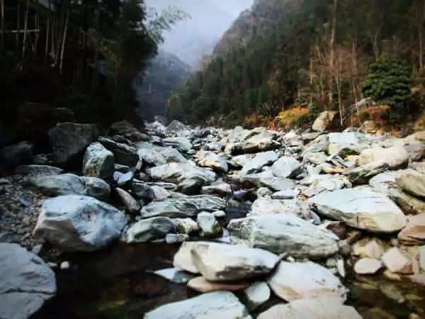 早听：85%冰碛岩在安化，六种胃需要喝黑茶