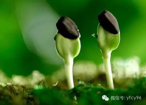 十大未来最吃香的行业和职业