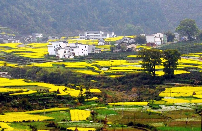 婺源县人口_婺源县地图(2)