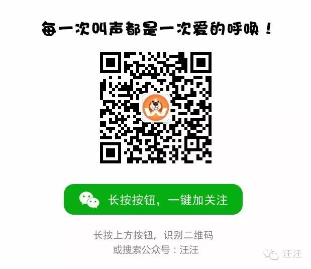 这样的宠物领养广告文案策划，你抗拒得了吗？！