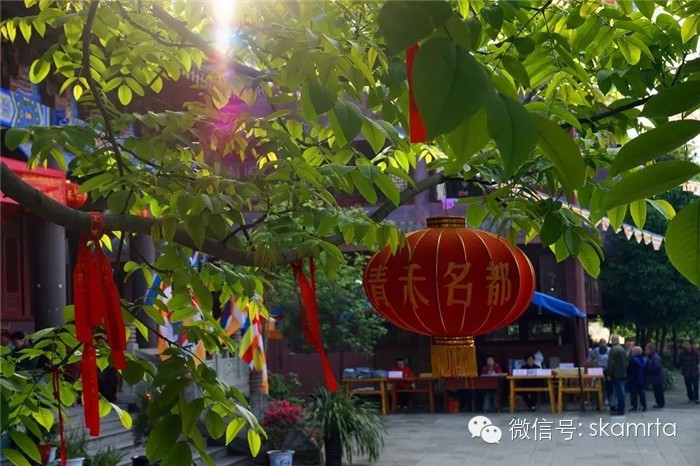 ͼ�ģ���ʲô�������Ƴ�������