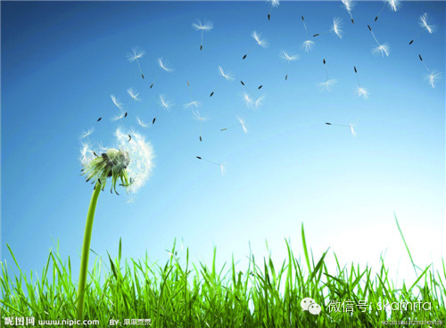 ��������Ϊʲô�������⣿