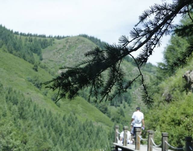 为一场音乐节 去一次露营【乌兰察布露营· 文化音乐节】(图5)