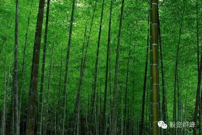 人的一生中,相信自己比依赖别人更重要 - 毅锋 - 网络天下 人的一生中,相信自己比依赖别人更重要 - 毅锋 - 网络天下