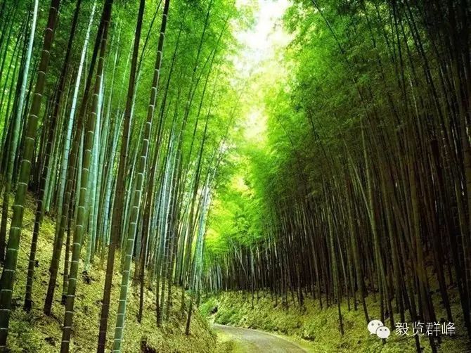 人的一生中,相信自己比依赖别人更重要 - 毅锋 - 网络天下 人的一生中,相信自己比依赖别人更重要 - 毅锋 - 网络天下