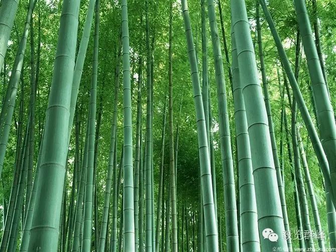 人的一生中,相信自己比依赖别人更重要 - 毅锋 - 网络天下 人的一生中,相信自己比依赖别人更重要 - 毅锋 - 网络天下