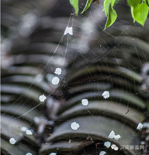 新县最美古村落——那些可寄托乡愁的村庄