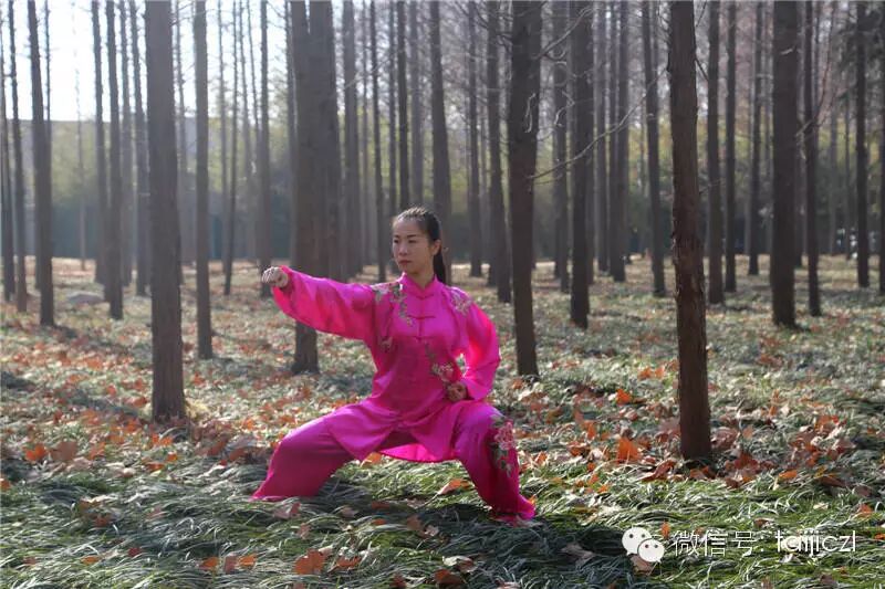 练太极让女性朋友自然健康美丽 国内 郑州陈正雷太极拳政六街馆