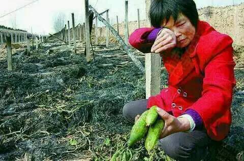 登录查看大图