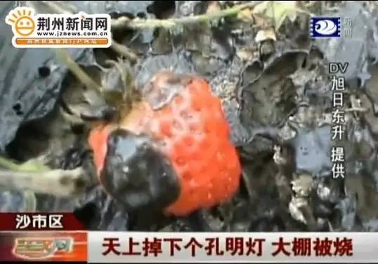 登录查看大图